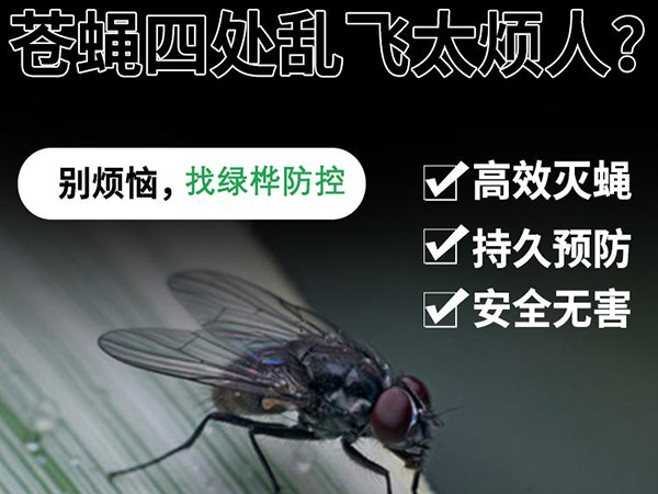 灭蚊虫苍蝇快速上门服务 专业高效安全有保障