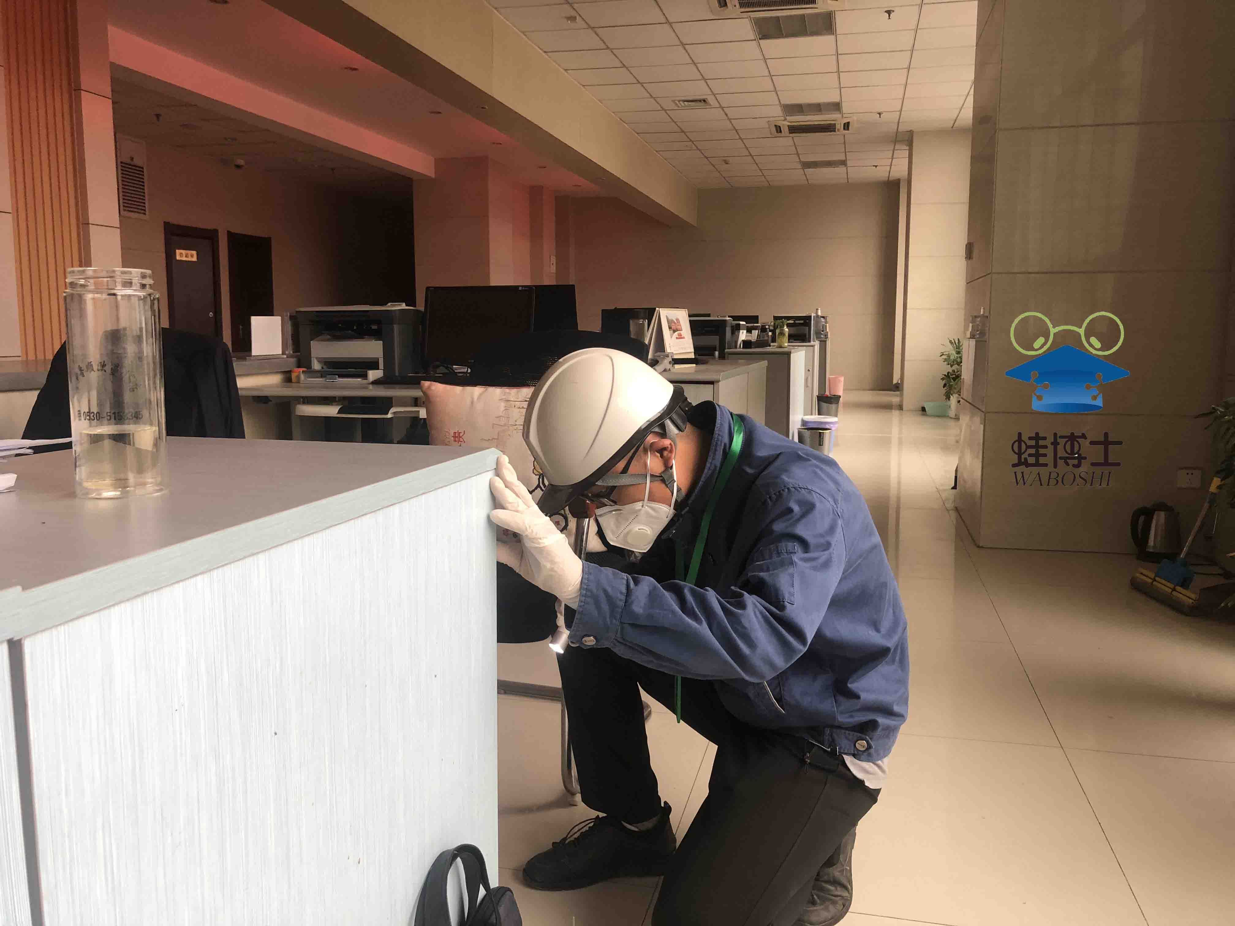灭白蚁快速上门服务 专业高效安全有保障