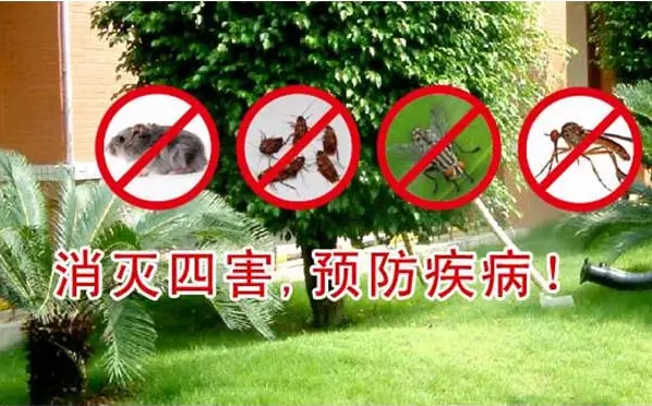 蟑螂的“栖息地”在哪里让我来告诉您