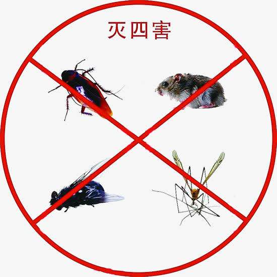 老鼠可能携带的病毒