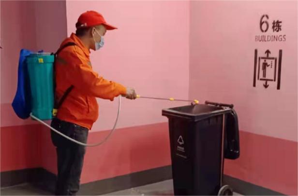 如何知道家里是否有白蚁？